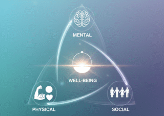 What Is the Health Triangle